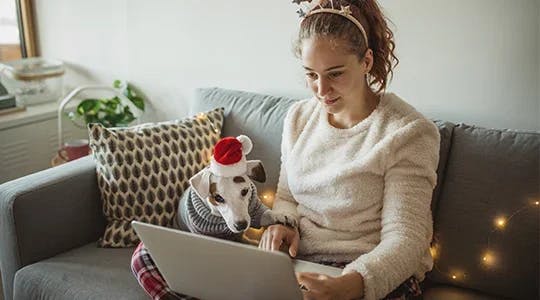woman with dog reading something on laptop